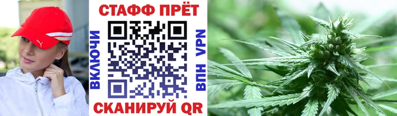 Как найти закладки Советская Гавань A PVP Меф Гашиш