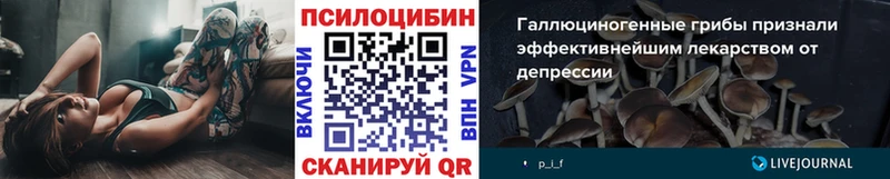 kraken ССЫЛКА Советская Гавань Псилоцибиновые грибы Magic Shrooms