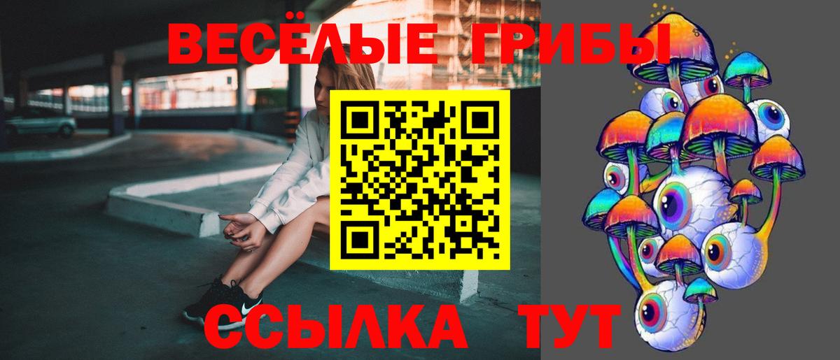 Псилоцибиновые грибы GOLDEN TEACHER Советская Гавань