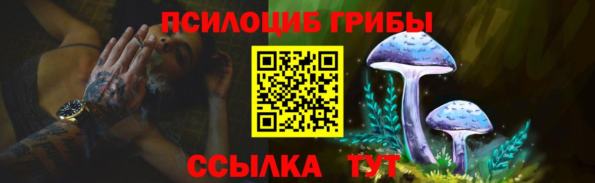Советская Гавань  Галлюциногенные грибы MAGIC MUSHROOMS  Вход с VPN 
